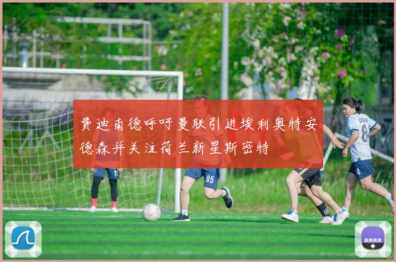 费迪南德呼吁曼联引进埃利奥特安德森并关注荷兰新星斯密特