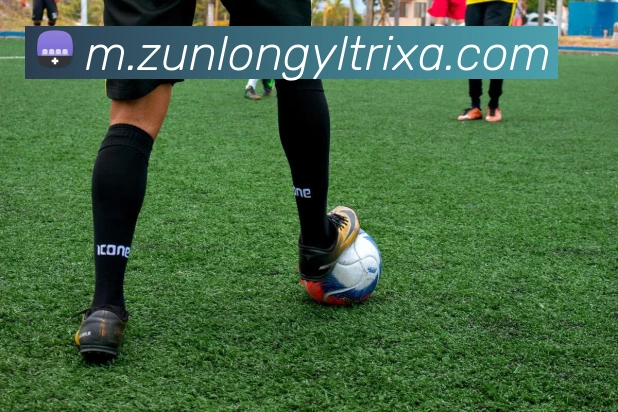 尊龙娱乐APP 高清赛事图